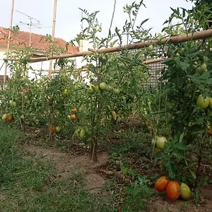 Eira Da Mila Casa de Férias